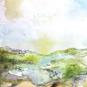 Nina Irwin's Evening Reception